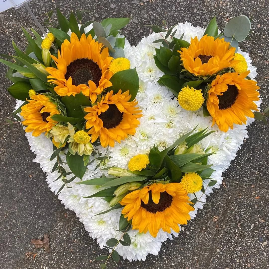Heart-shaped funeral tribute of white chrysanthemums with sunflowers and yellow button mums