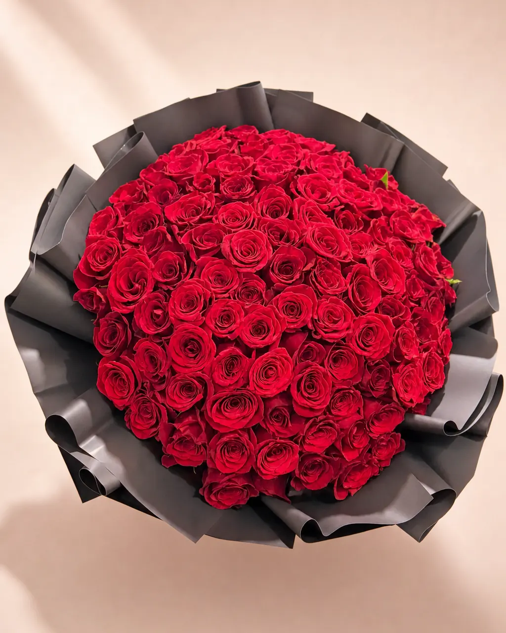 Black Tie: 100 premium red roses in black wrap, photographed on a blush backdrop