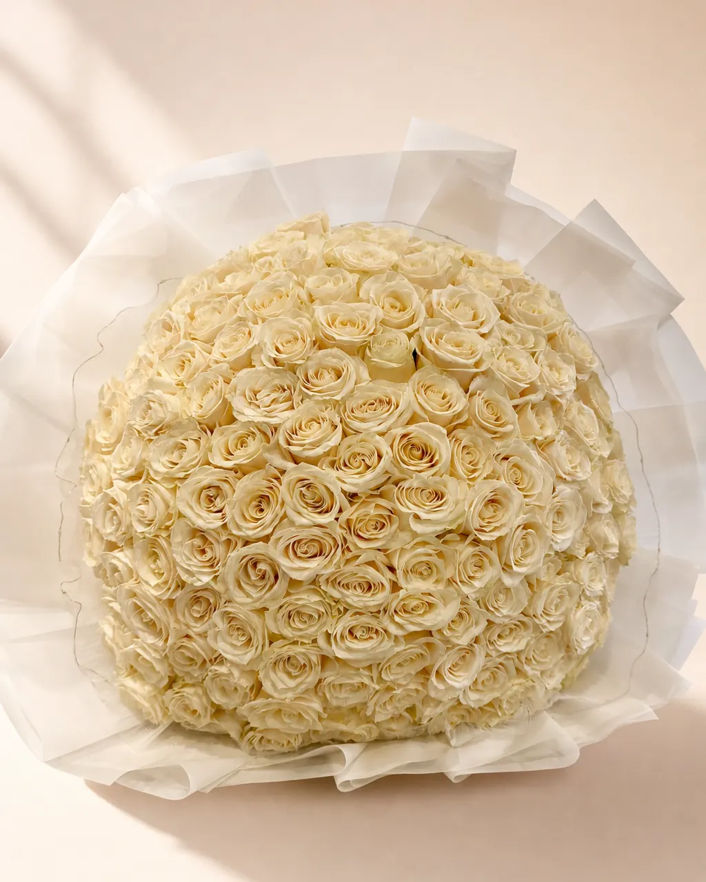 Full Moon: one hundred and fifty white roses in white wrap, on a blush backdrop