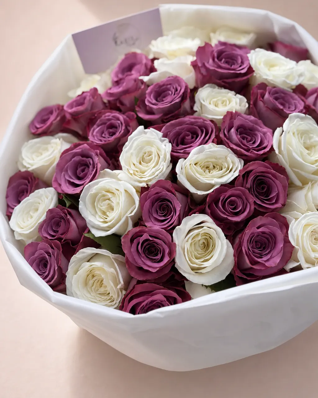 Lilac and Linen: 50 lavender and white roses in white wrap, photographed on a blush backdrop