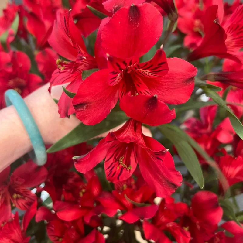 red red bouquet flower delivery Toronto - Fresh arrangement by Laris Florist GTA